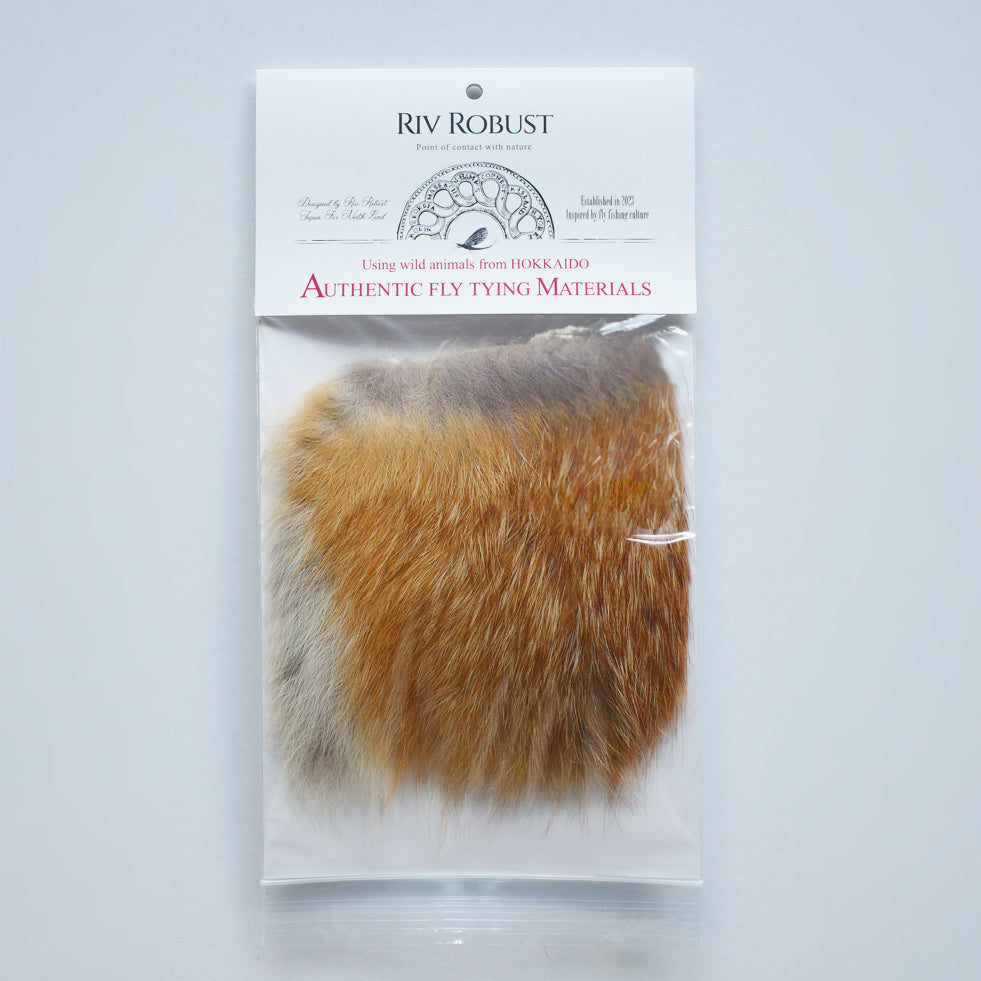 Hokkaido Red Fox(10cm*10cm)