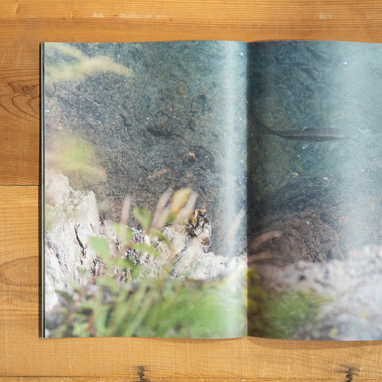 fly-fishmag UI vol.6