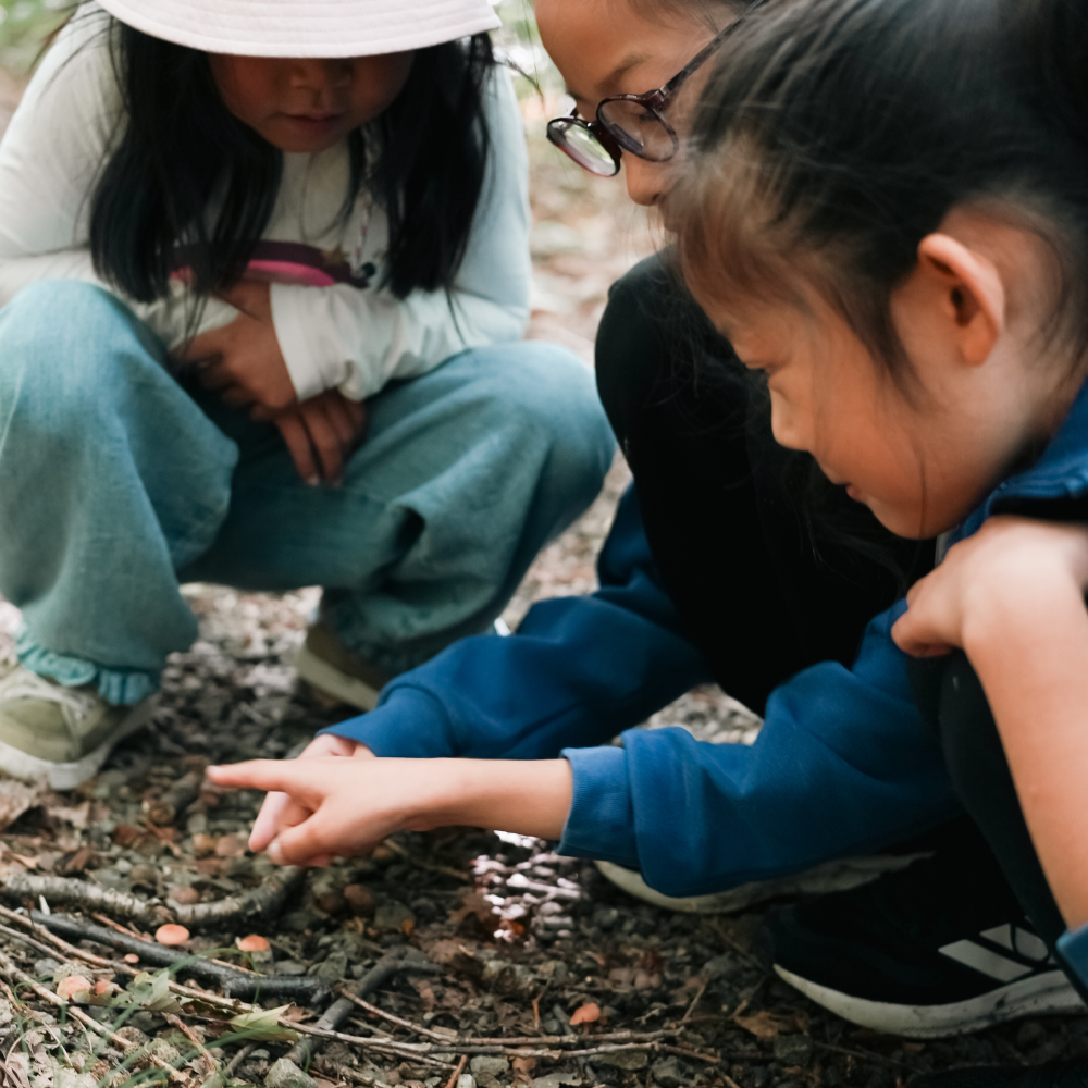 【参加無料】第5回NATUREFOLK参加券 2025/10/26(日)9:00〜
