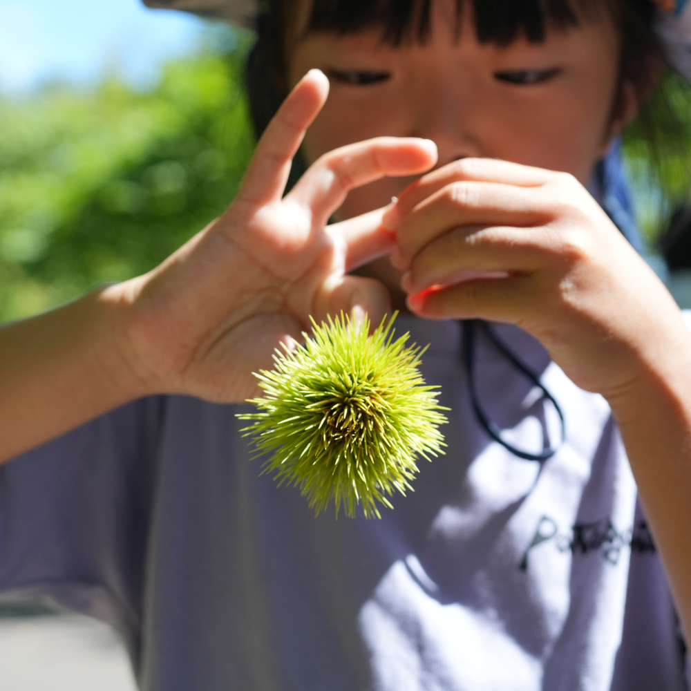 【参加無料】第4回NATUREFOLK参加券 2025/9/28(日)7:00〜