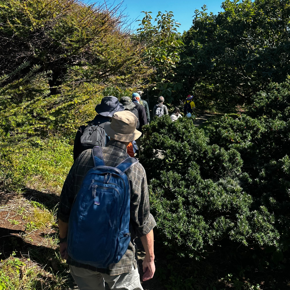 【参加無料】第1回NATUREFOLK参加券 2025/05/18(日)9:00〜