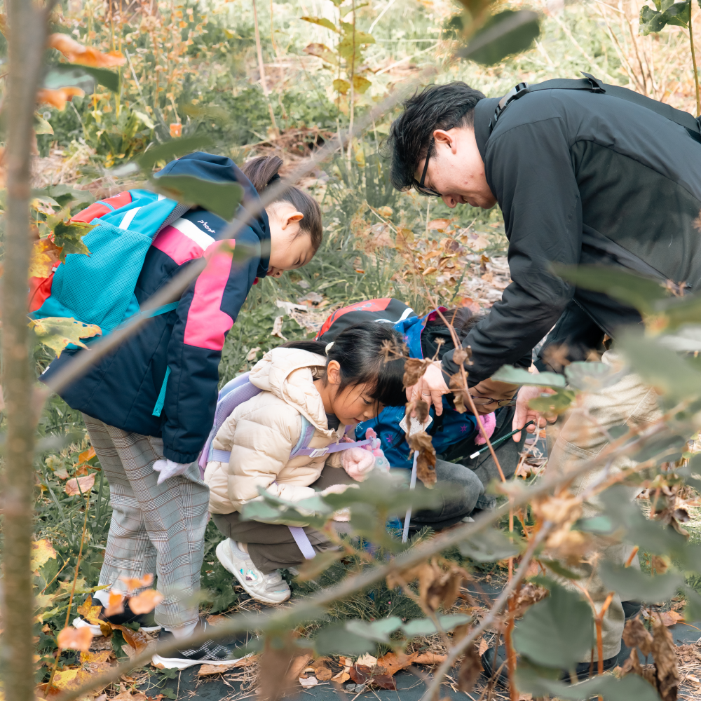 【参加無料】第6回NATUREFOLK参加券 2025/11/16(日)9:00〜
