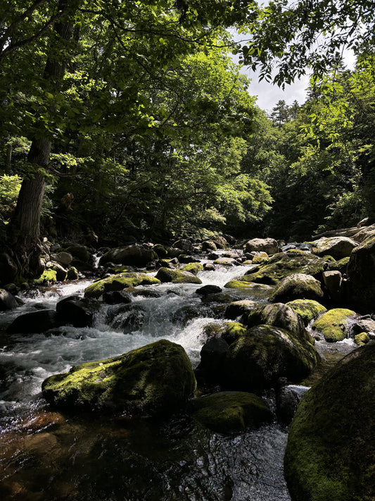 一緒に川に立たなくても、一緒に釣りは出来る。