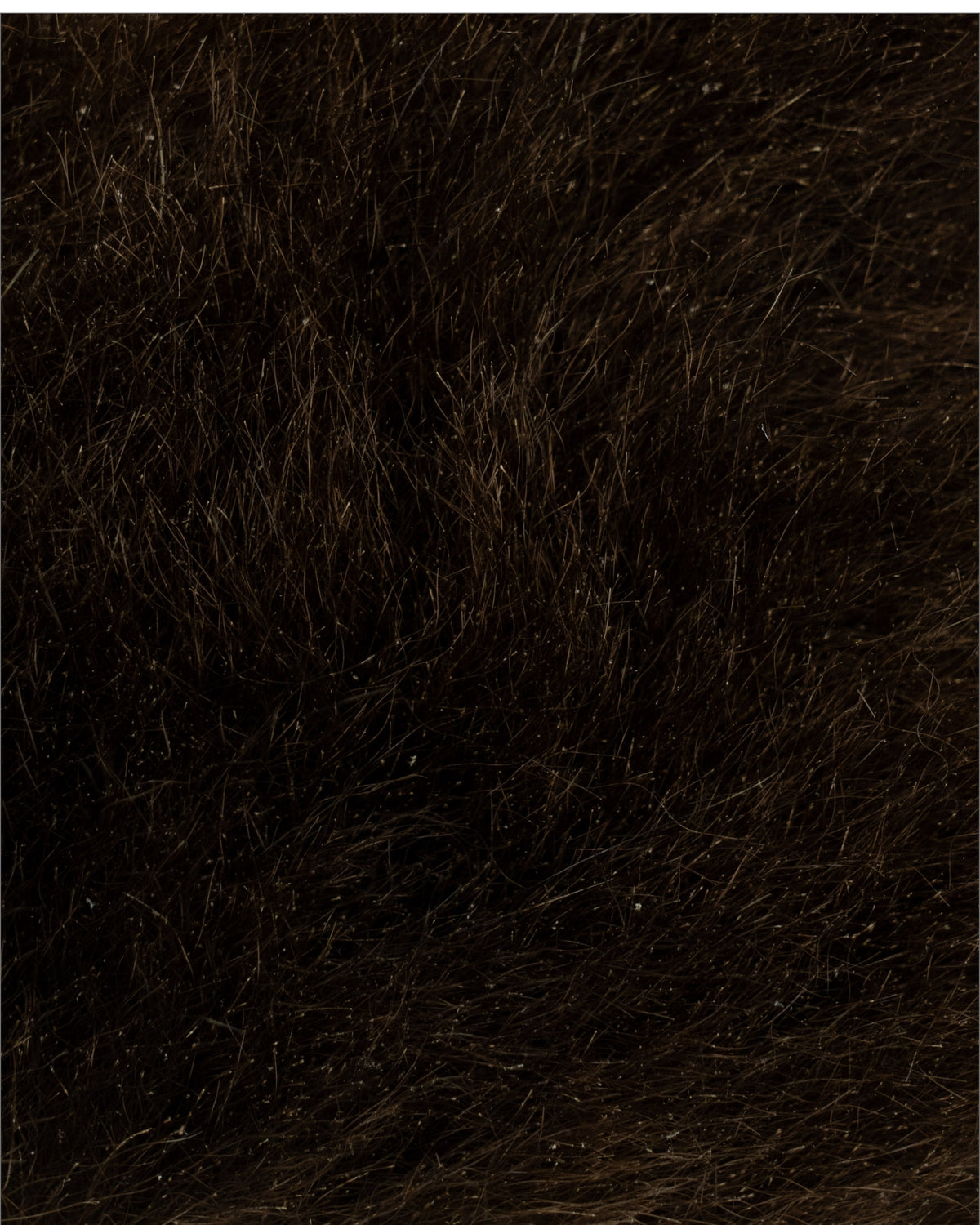 ヒグマレッド oct'2026（10cm*10cm）