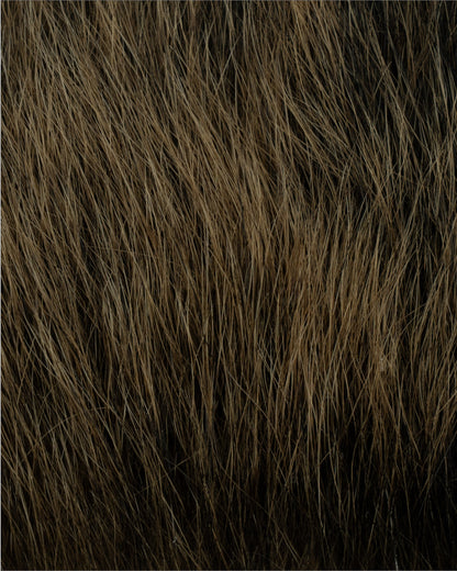 ヒグマゴールド oct'2026（10cm*10cm）