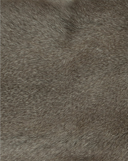 Hokkaido Squirrel（13cm*7cm）sep'2026