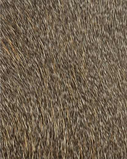 Hokkaido Deer Hair sep,2026(15cm*10cm)