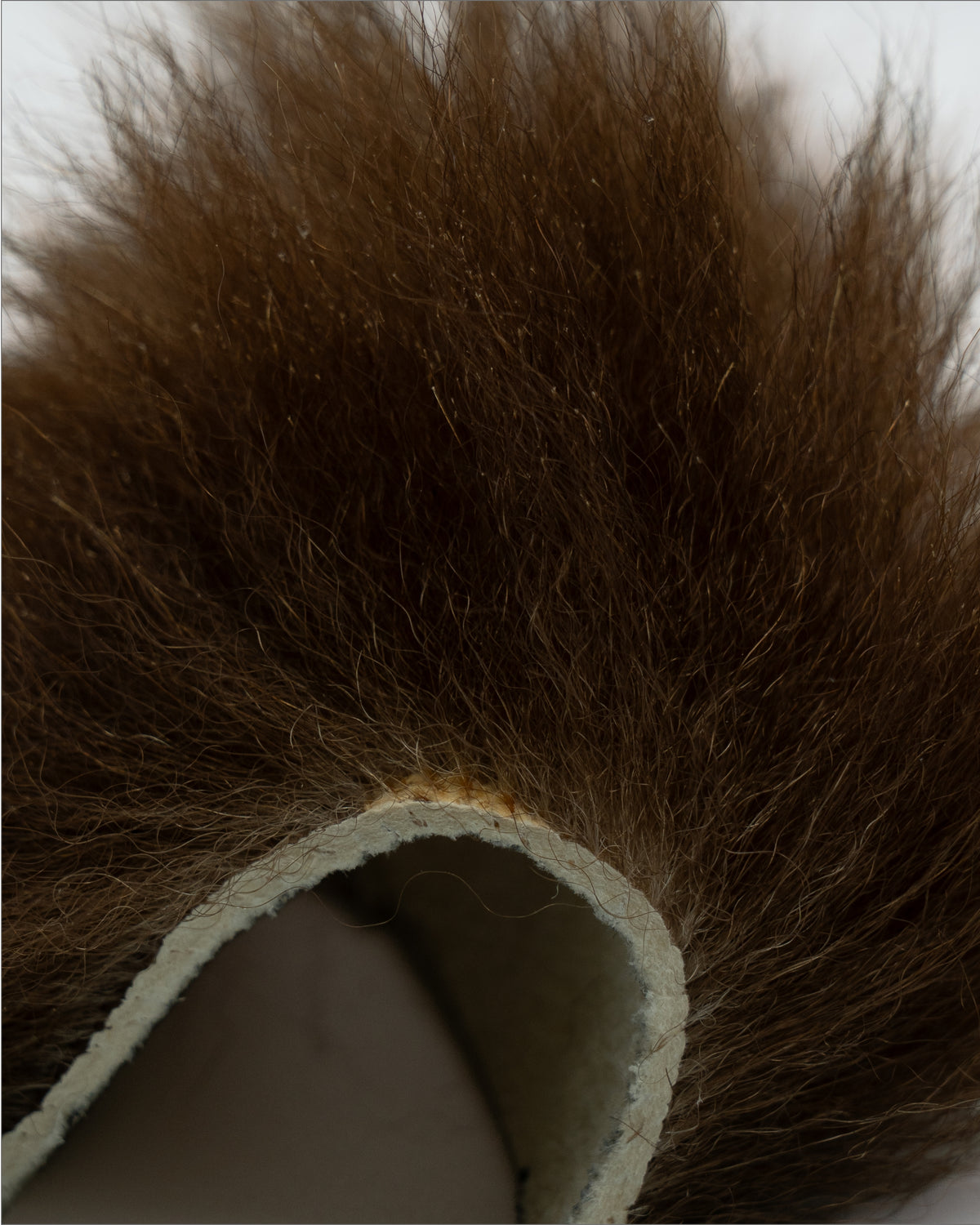 ヒグマレッド oct'2026（10cm*10cm）