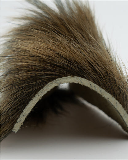ヒグマゴールド oct'2026（10cm*10cm）