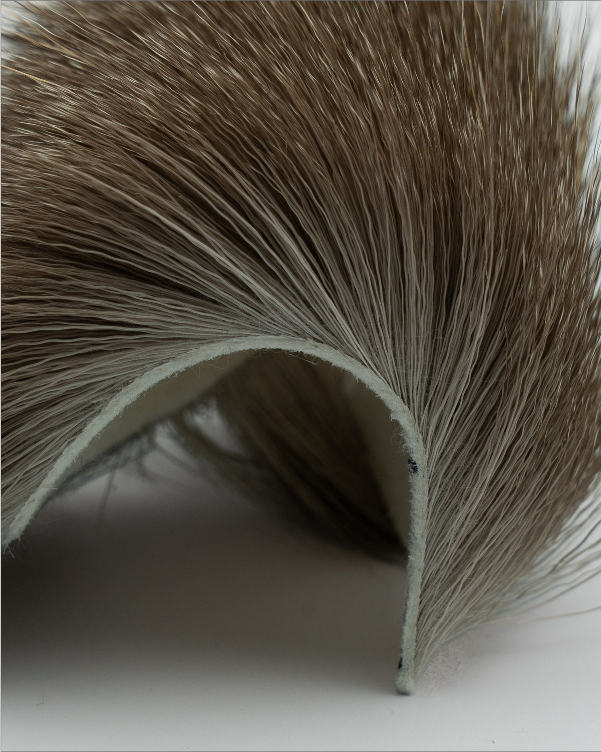 Hokkaido Deer Hair sep,2026(15cm*10cm)