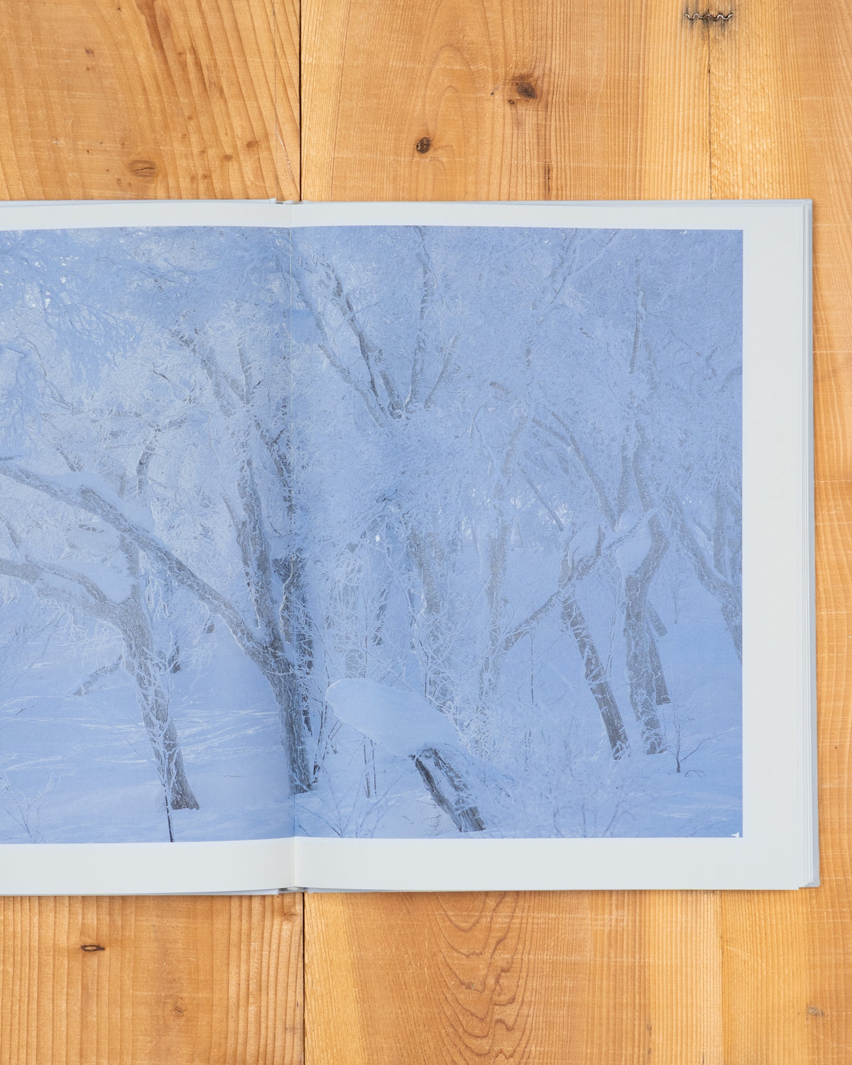 雪 The Essence of the Winter Forest 森／coverA