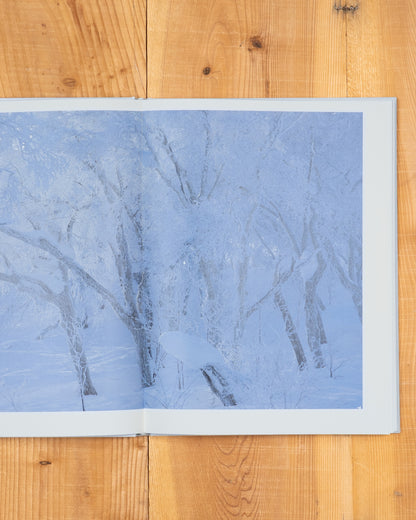 雪 The Essence of the Winter Forest 森／coverA