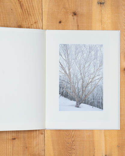 雪 The Essence of the Winter Forest 森／coverA
