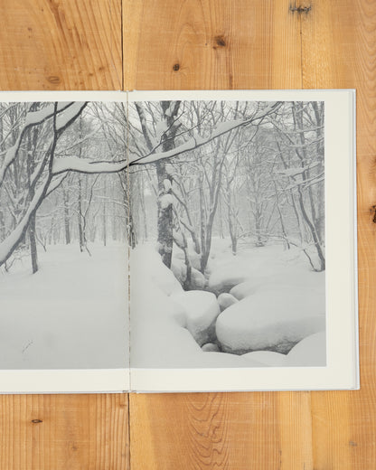 雪 The Essence of the Winter Forest 森／coverA