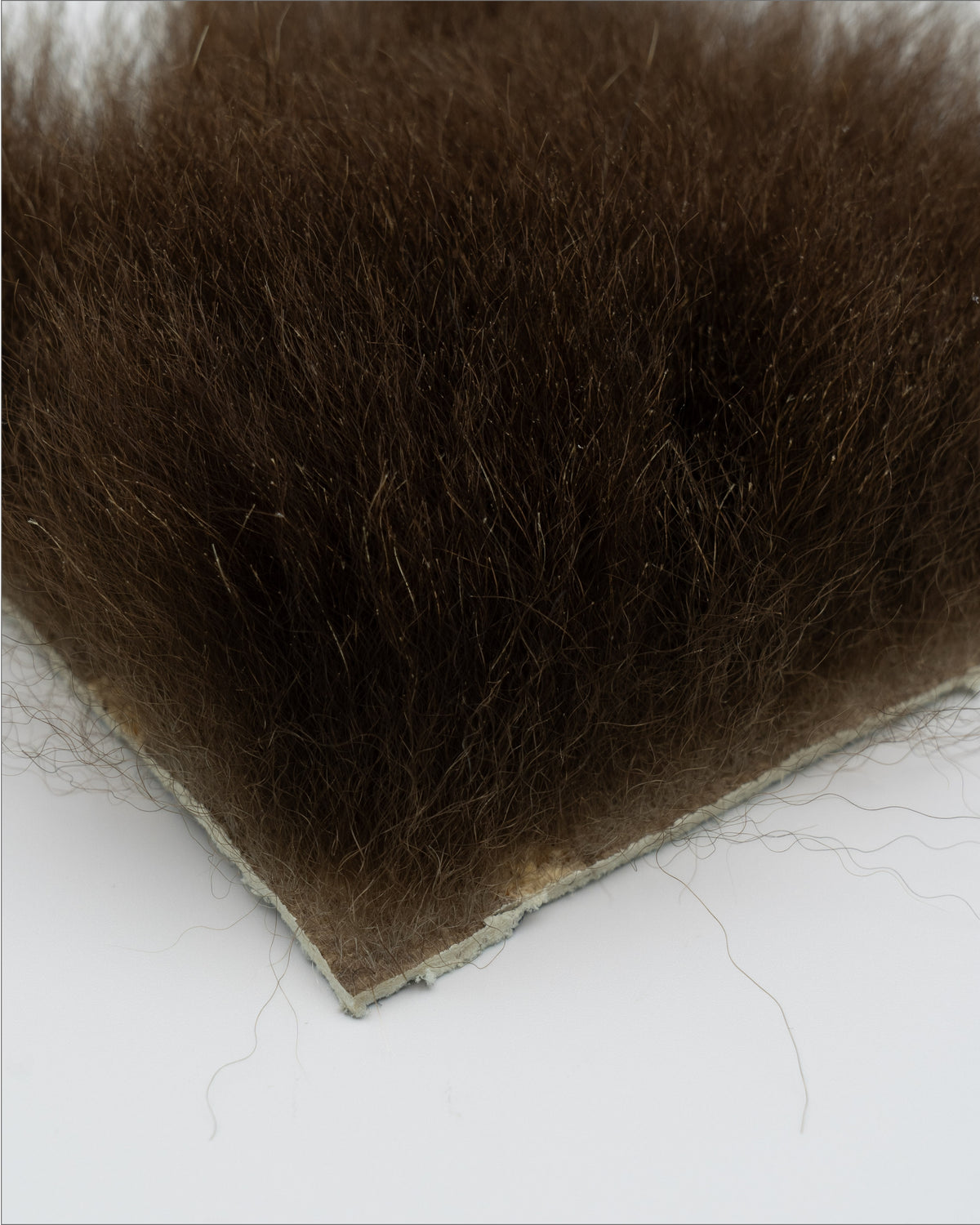 ヒグマレッド oct'2026（10cm*10cm）
