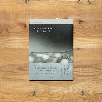 ミルクの中のイワナ film book