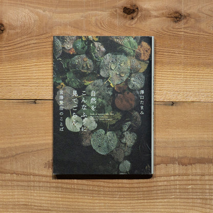 【古書】自然をこんなふうに見てごらん 宮澤賢治のことば