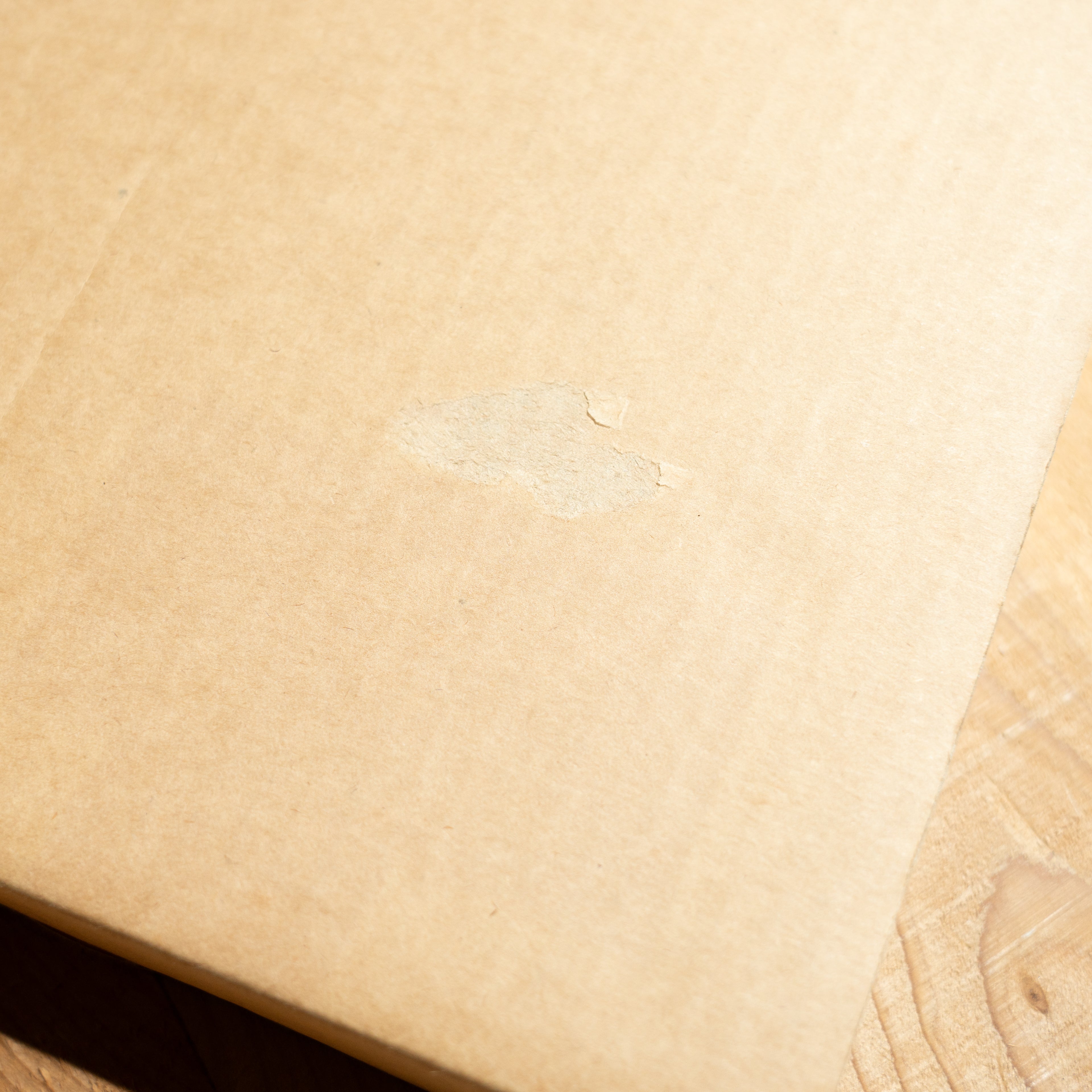 古書】The Art of the classic salmon Fly – RIV ROBUST