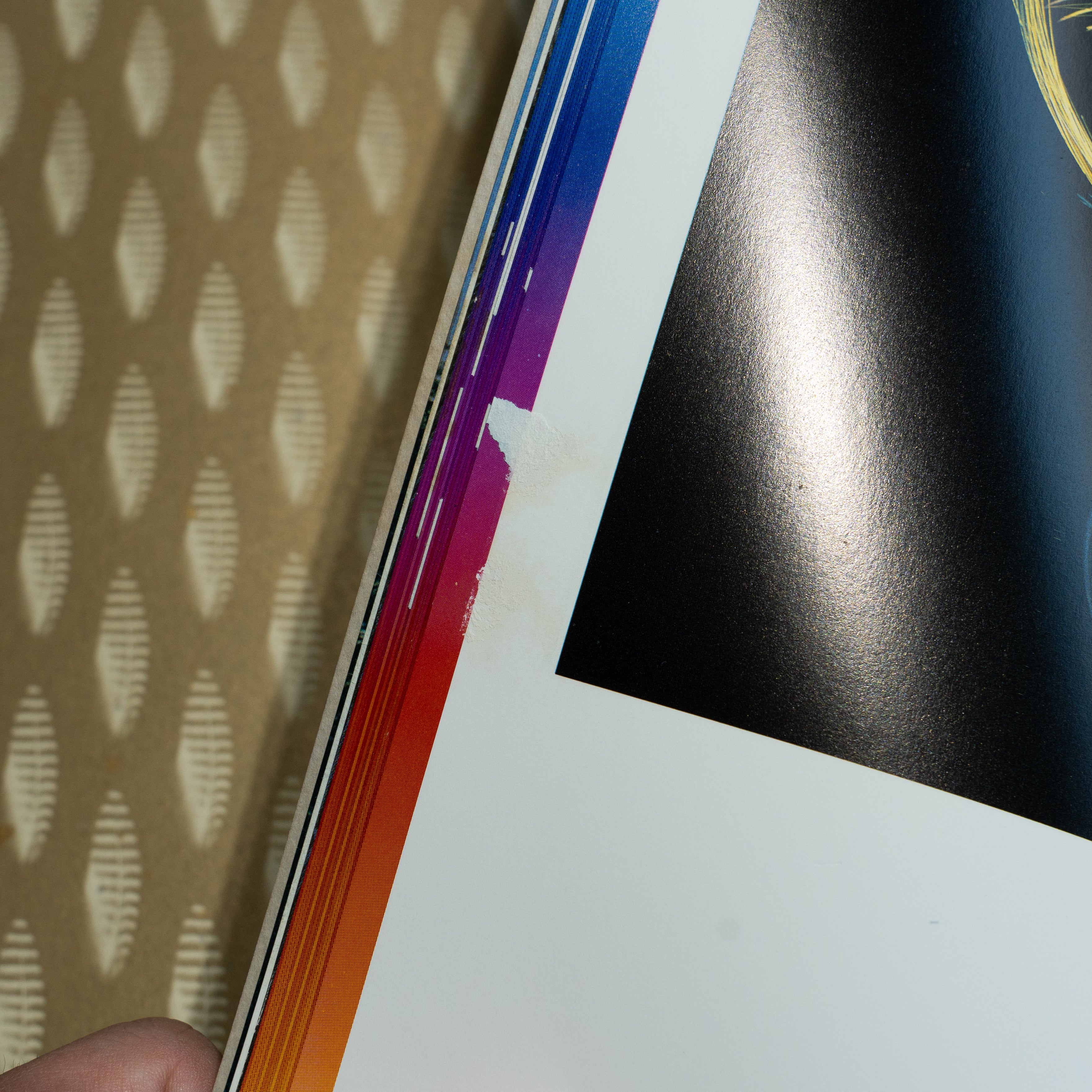 古書】The Art of the classic salmon Fly – RIV ROBUST