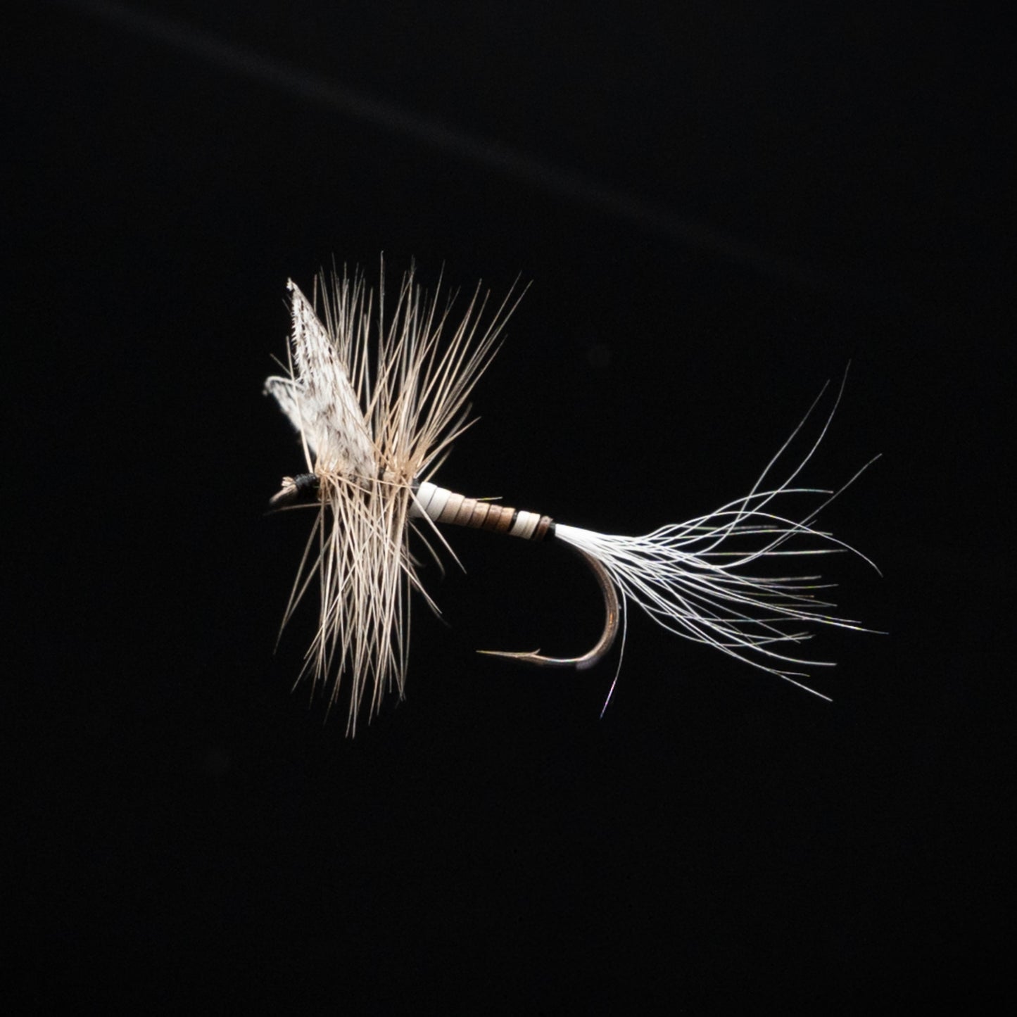 RIV variant box（12Pack）