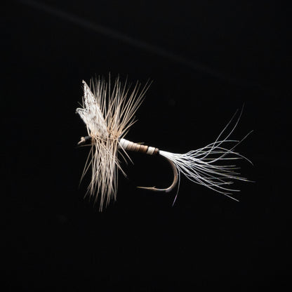 RIV variant box（12Pack）