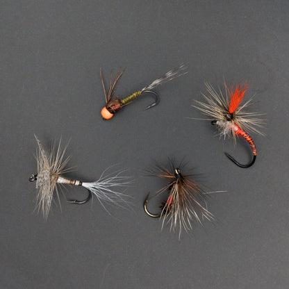 RIV variant box（12Pack）