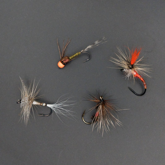 RIV variant box（12Pack）