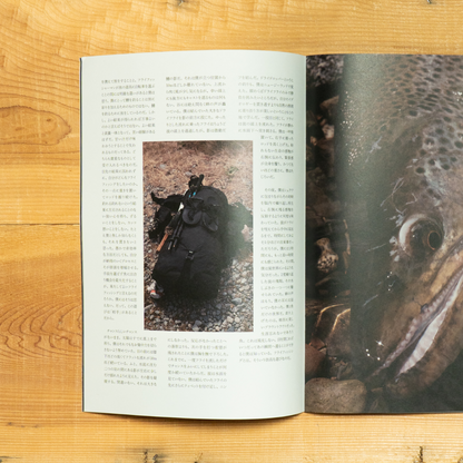 fly-fishmag UI vol.12