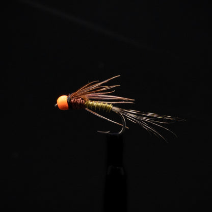 RIV variant box（12Pack）