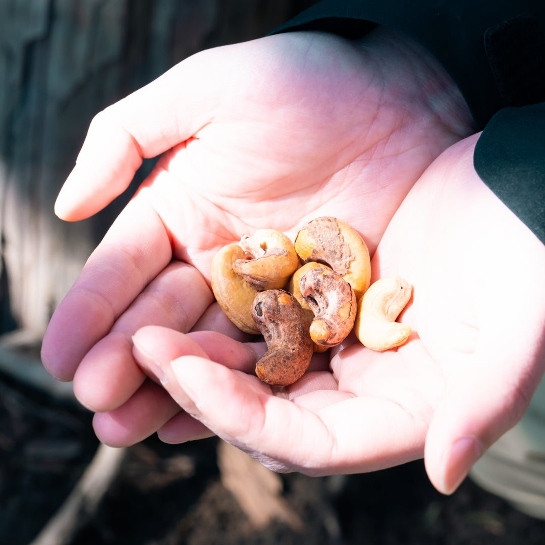 Moe カシューナッツ / SALT