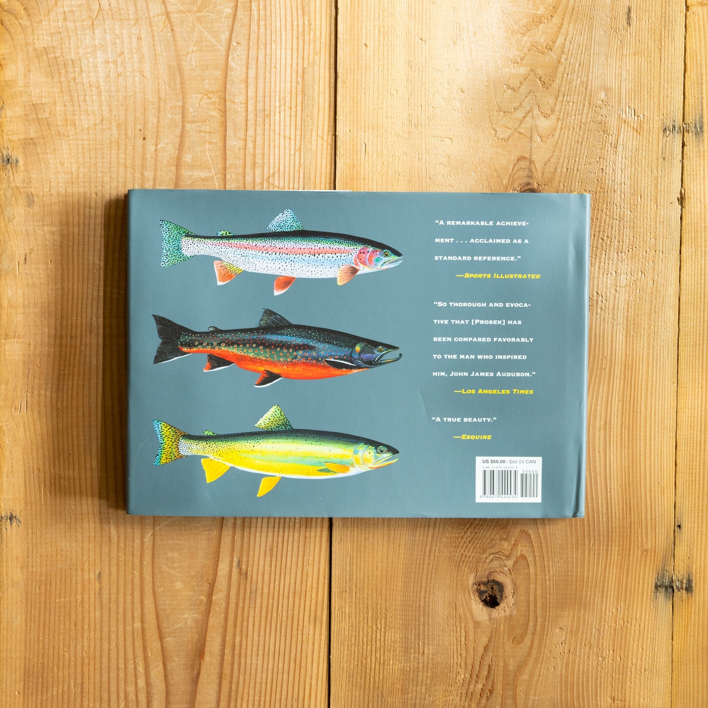 Trout : An Illustrated History