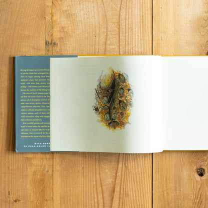 Trout : An Illustrated History
