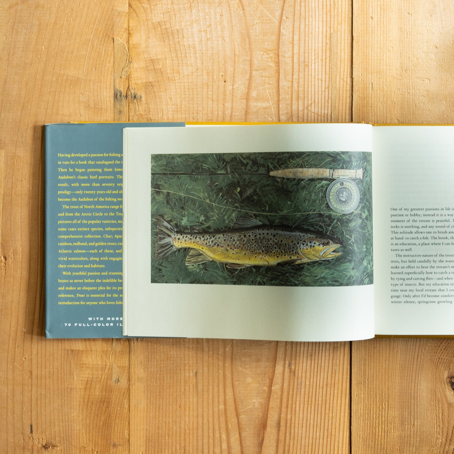 Trout : An Illustrated History