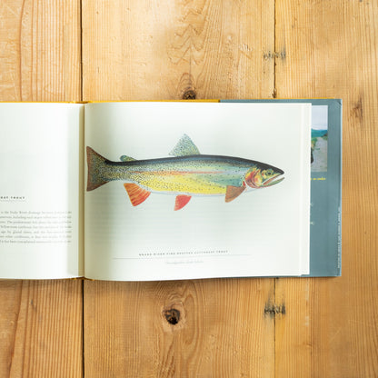 Trout : An Illustrated History