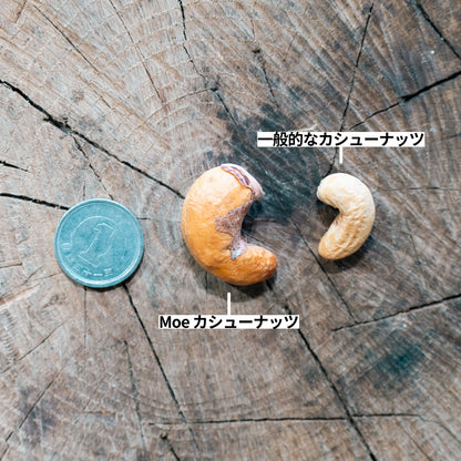 Moe カシューナッツ / SALT