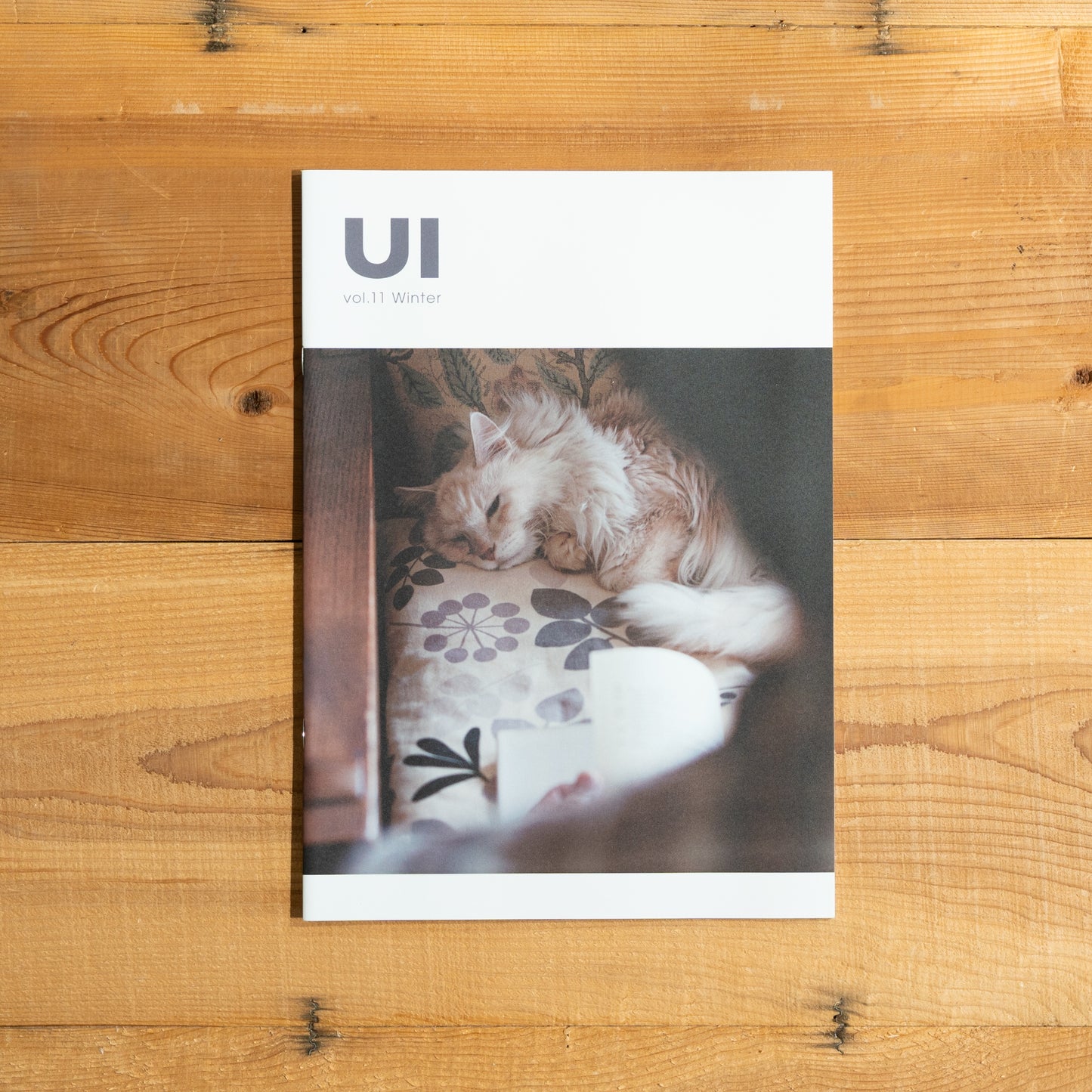 fly-fishmag UI vol.11