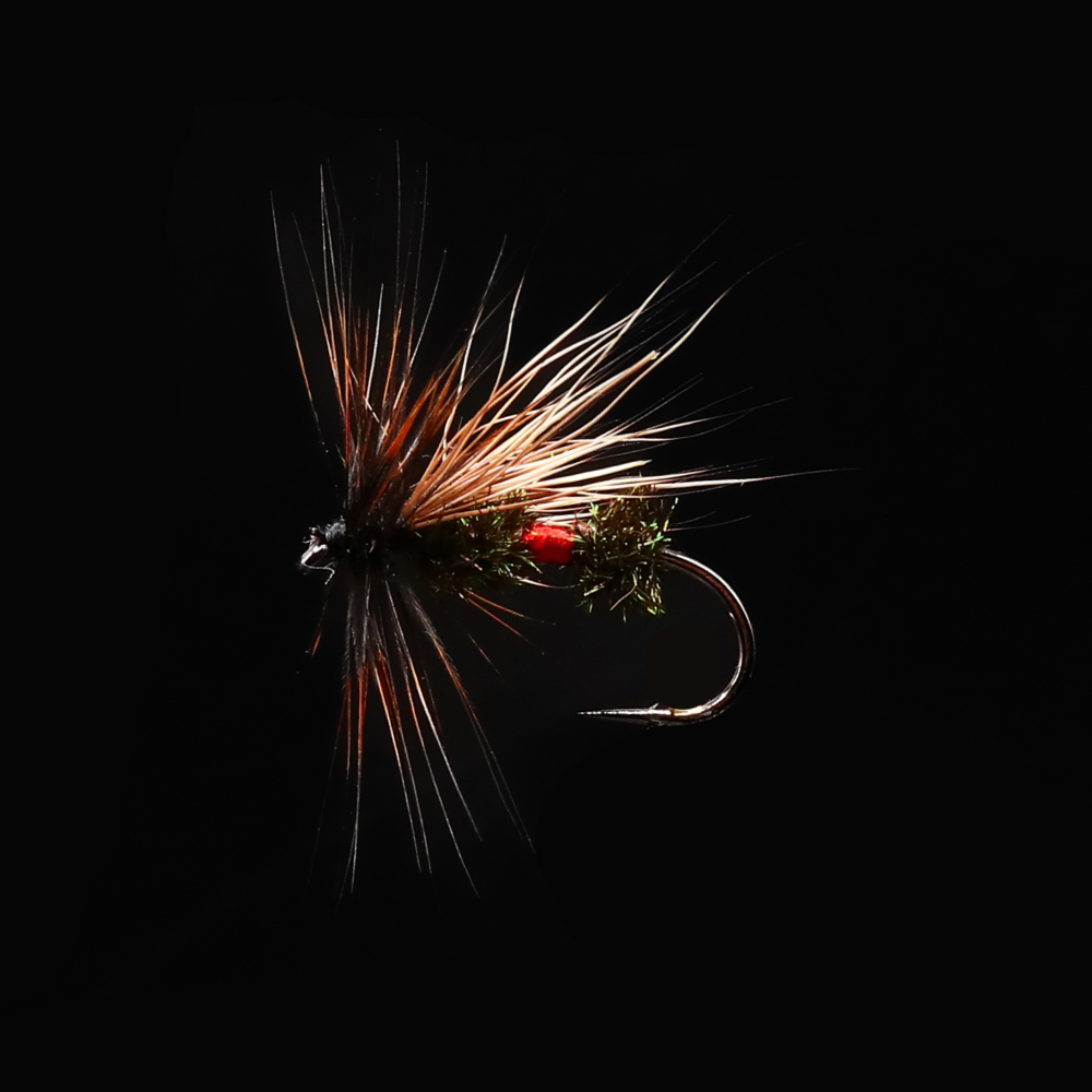 RIV variant box（12Pack）